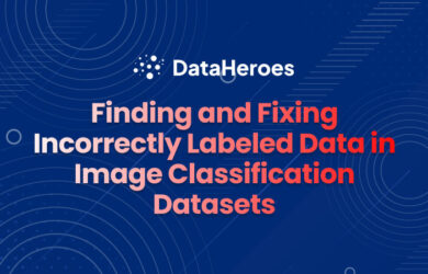 Finding and Fixing Incorrectly Labeled Data in Image Classification Datasets
