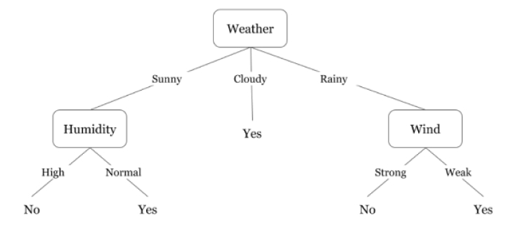A Decision Tree Algorithm Work