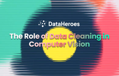 The Role of Data Cleaning in Computer Vision